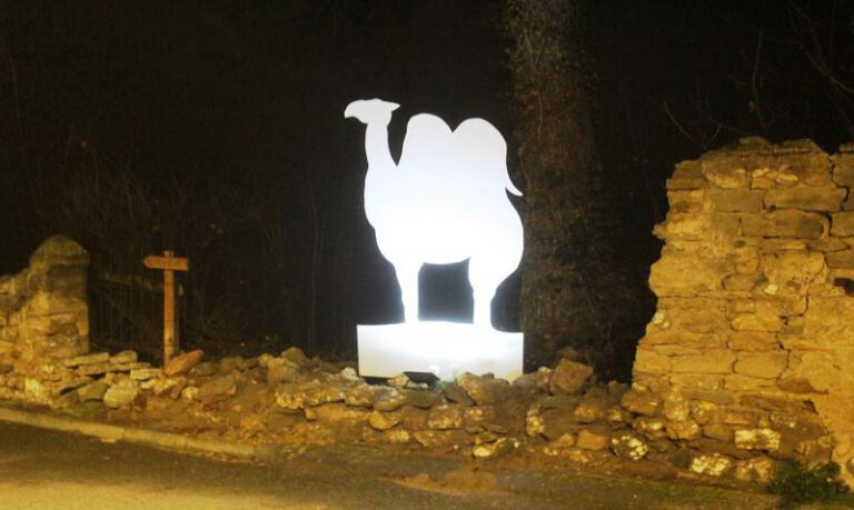 Un luminoso camello Un luminoso camello