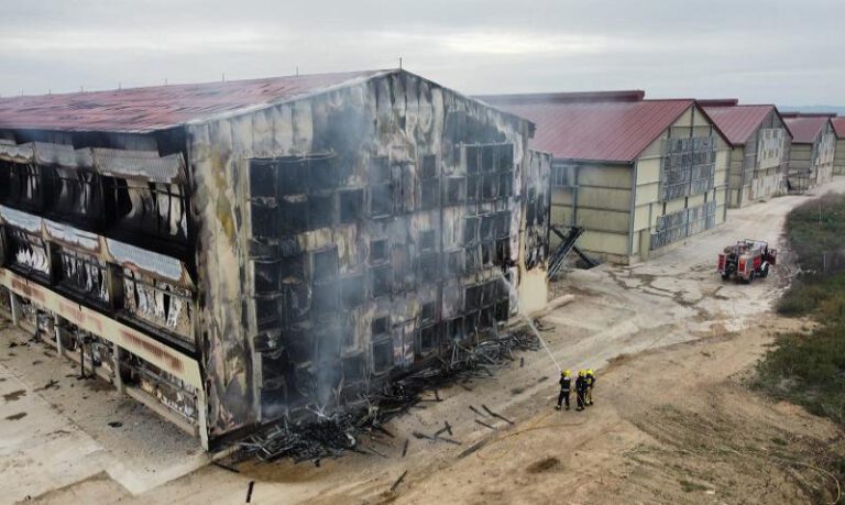 Bomberos del SPEIS durante las labores de extinción (DPH). Bomberos del SPEIS durante las labores de extinción (DPH).