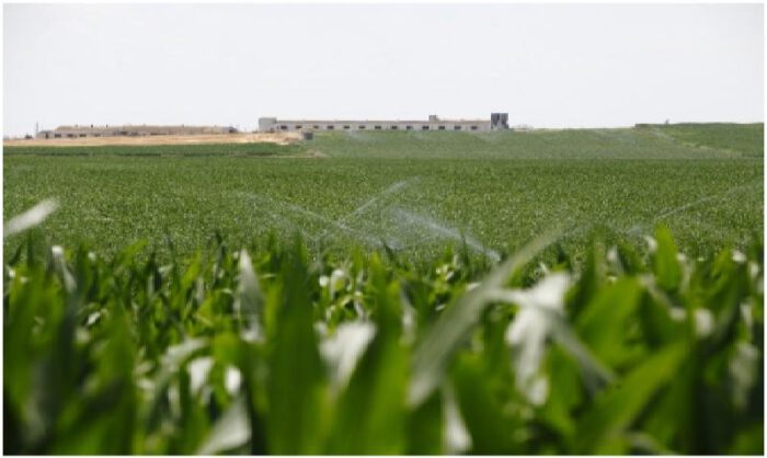 Nueva convocatoria para riegos.