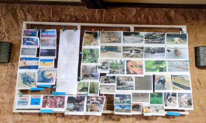 Exposición de trabajos presentados.