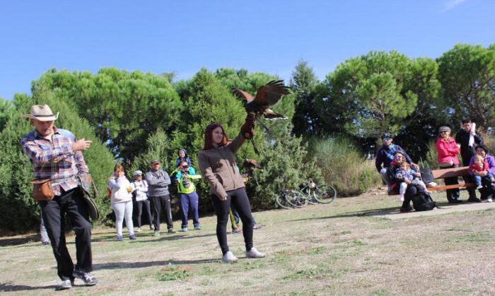 Demostración de vuelo de rapaces en la Laguna.