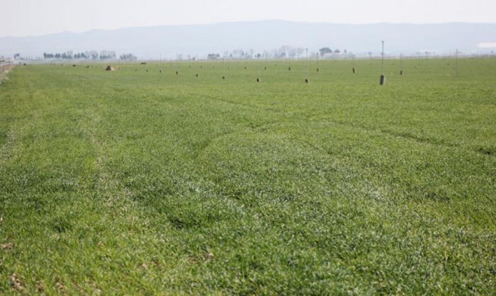 Afecta a los municipios de Sangarrén