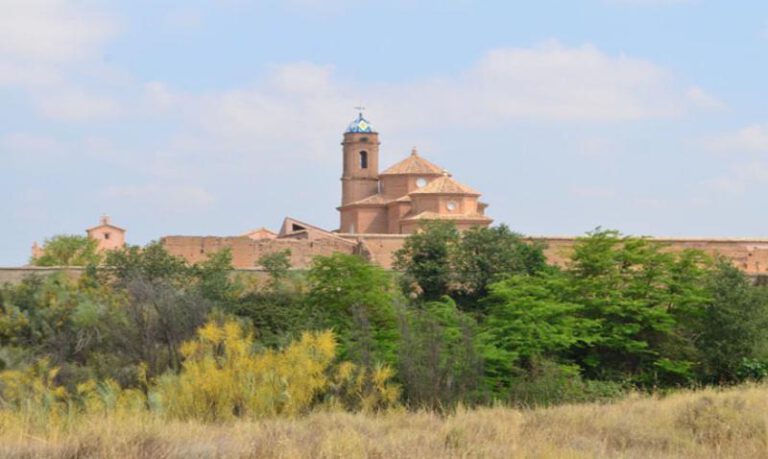 Los monjes utilizaban varias plantas medicinales. Los monjes utilizaban varias plantas medicinales.
