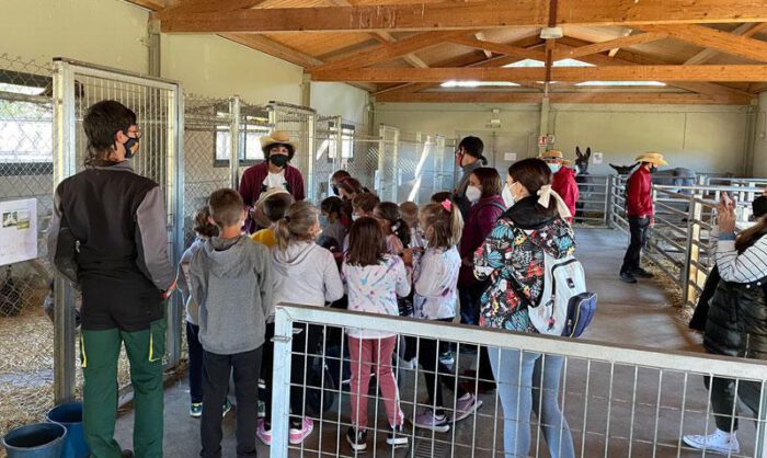 La actividad tuvo lugar en el centro de Martillué.