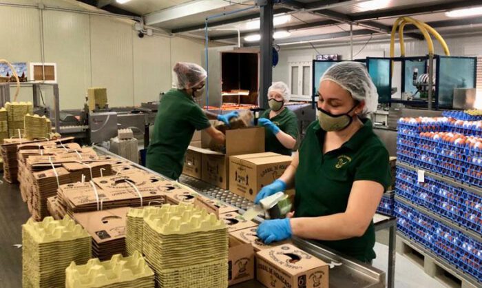 La empresa creará cuatro nuevos puestos de trabajo.