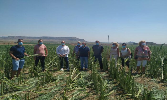 Imagen de la visita realizada a las zonas más afectadas.