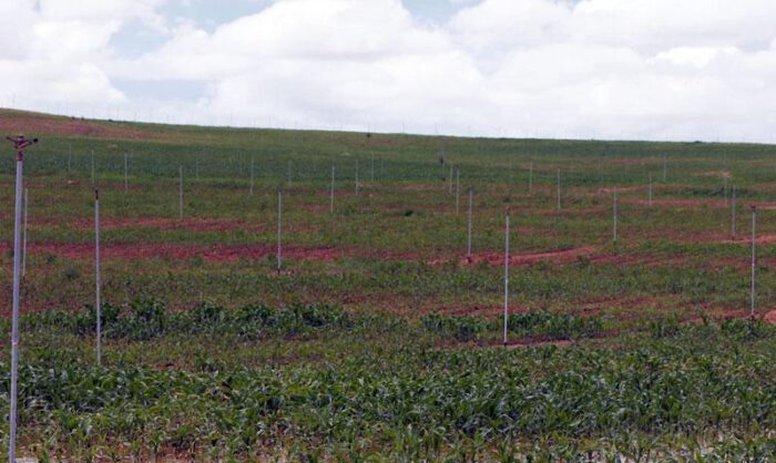 La formación pide que se ubiquen en parcelas de secano.