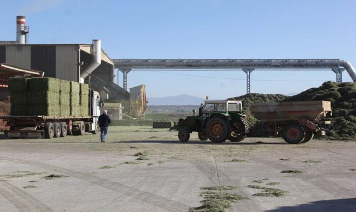 Imagen de archivo de las instalaciones del secadero.