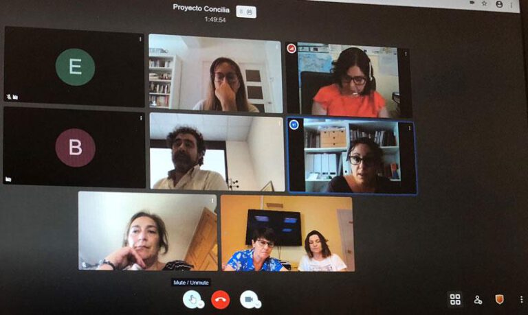 Imagen de la videoconferencia organizada. Imagen de la videoconferencia organizada.