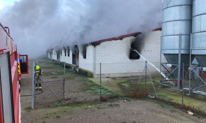 El fuego causó la muerte de madres y lechones.