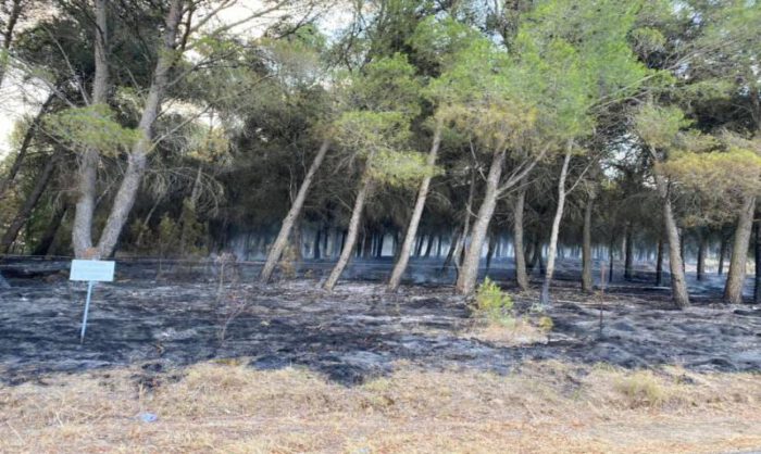 Un retén vigila para evitar que el fuego se reavive.