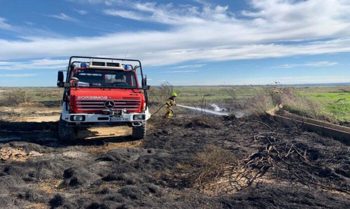 La superficie afectada ha sido escasa.