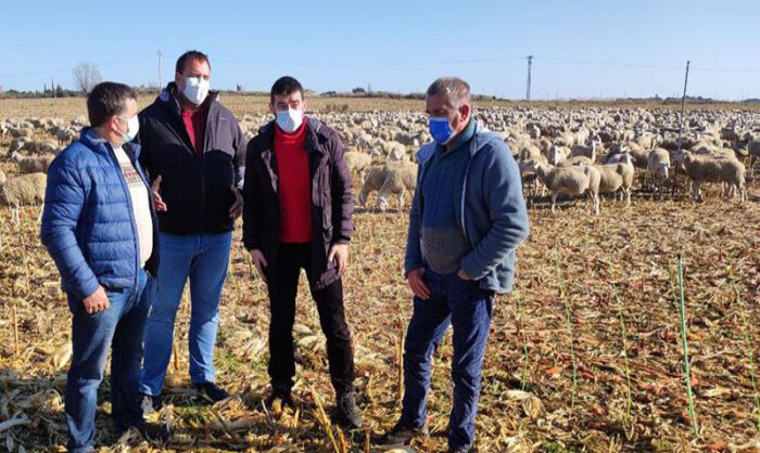 Han visitado una explotación de ovino en Valfonda.