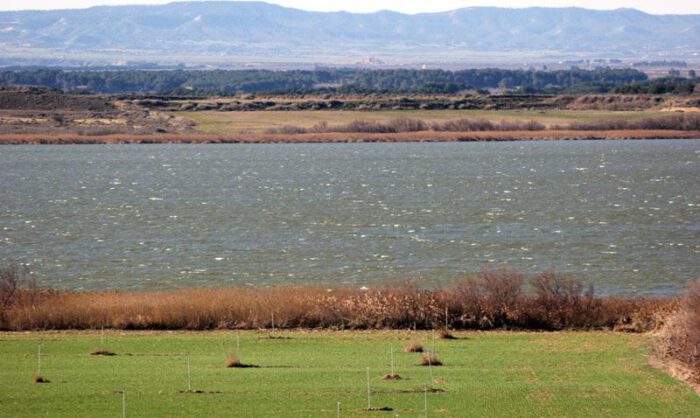 El humedal es uno de los principales atractivos de Sariñena.