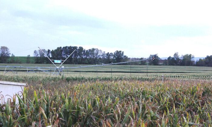 De las 4.000 hectáreas