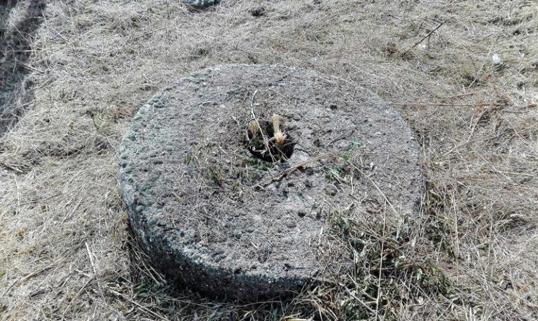 Imagen de la muela del molino de aceite encontrado. Imagen de la muela del molino de aceite encontrado.