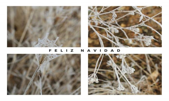 El dorondón invernal es uno de los motivos.