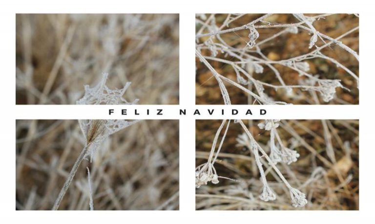 El dorondón invernal es uno de los motivos. El dorondón invernal es uno de los motivos.
