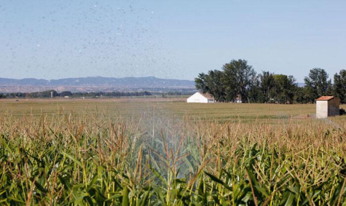 Los parques están proyectados sobre tierras de regadí­o.