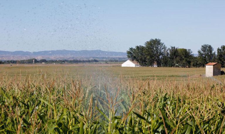 Los parques están proyectados sobre tierras de regadío. Los parques están proyectados sobre tierras de regadío.