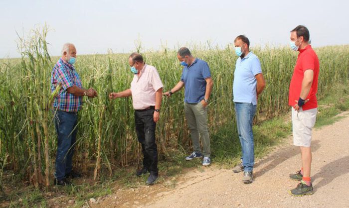 Varios responsables polí­ticos han visitado la zona afectada.
