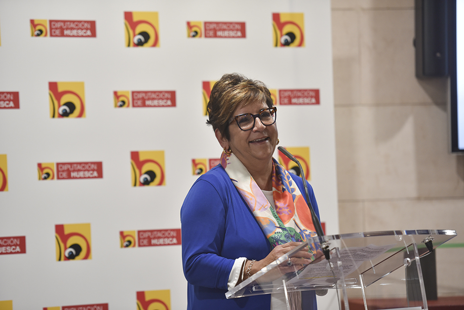 Elisa Sancho, vicepresidenta de la DPH, durante la presentación del SoNna.