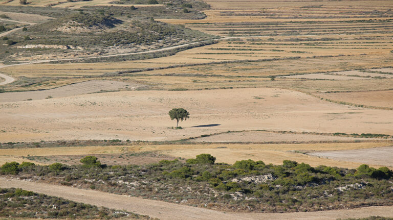 paisaje_monegros_foto_comarca