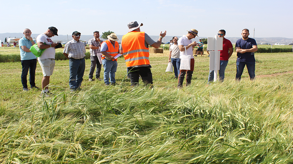 Imagen de las visitas guiadas a los campos de ensayo de la Cooperativa Los Monegros.