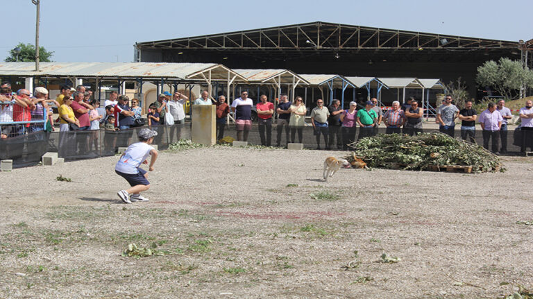 feria_caza_pesca