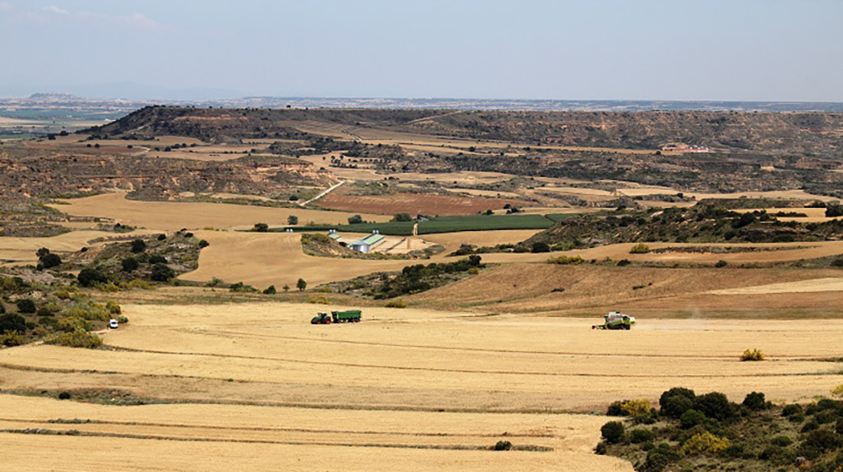 También hay avisos por el riesgo de incendios ante las altas temperaturas.