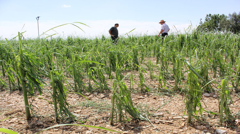 granizo_montesusin_junio_2022