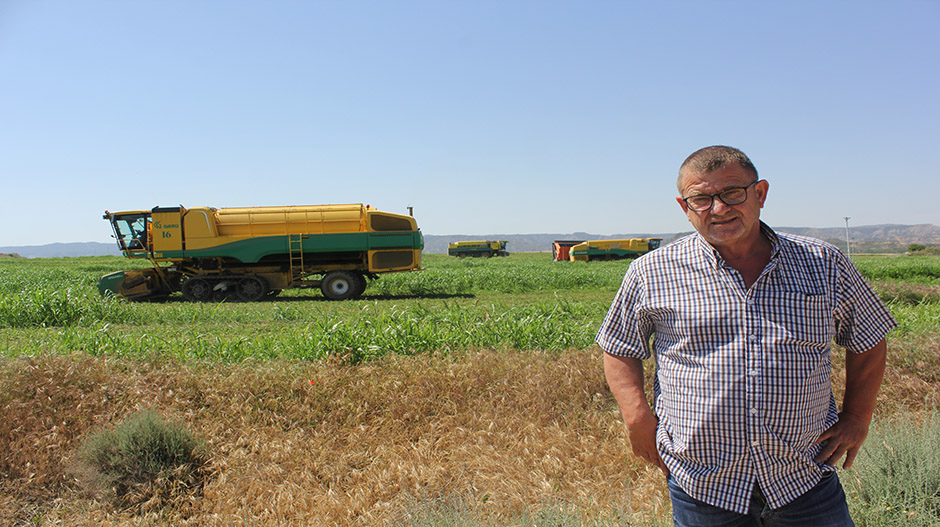 Fernando Regaño, frente a un campo en el que se lleva a cabo la cosecha de guisante.