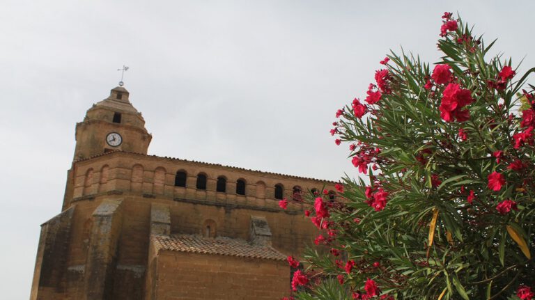 Alberuela_de_Tubo_