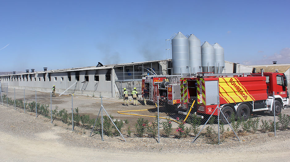 Los bomberos de la DPH han evitado la propagación del fuego. 