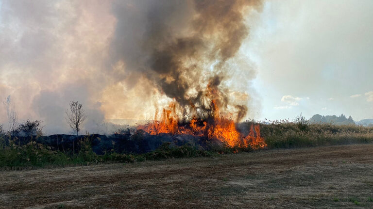 incendio_monegros (2)