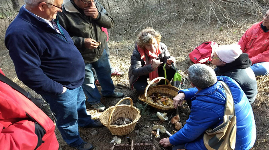 Las jornadas volverán a incluir salidas al campo para recolectar diferentes variedades de setas.