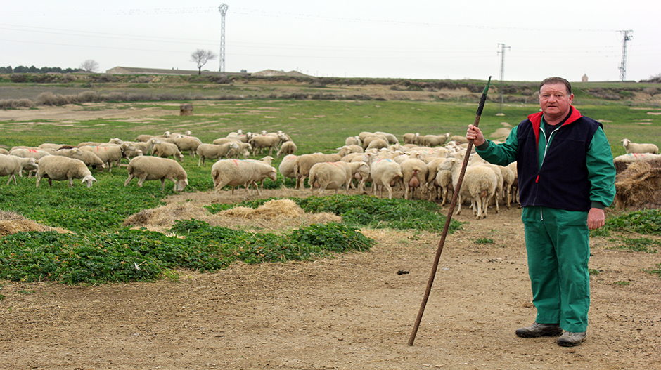 Antonio Maza, natural de Robres, es uno de los pastores en activo invitado a recoger el Félix de Azara.