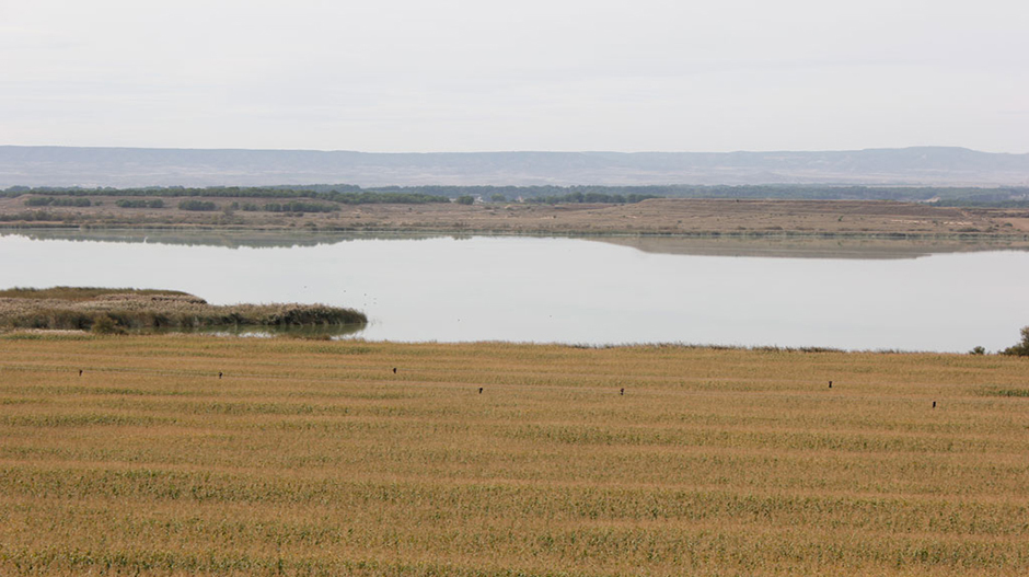 La Laguna es uno de los principales atractivos del municipio de Sariñena.