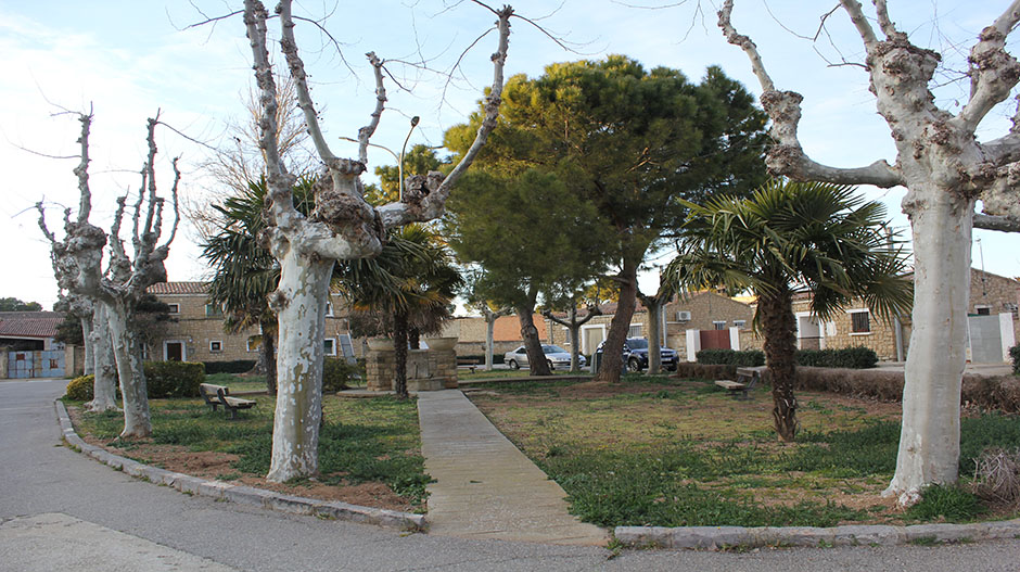 Imagen del estado actual de la Plaza de la Flor.