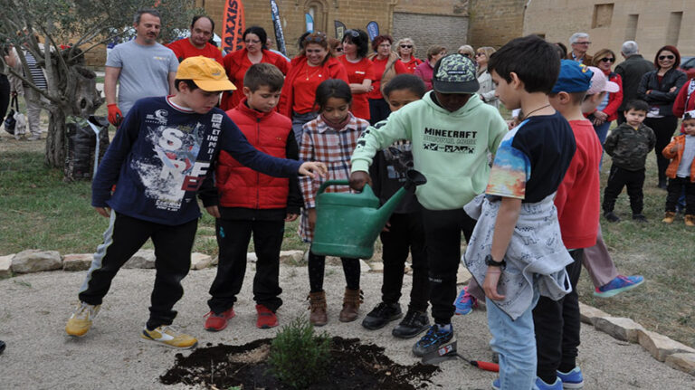 plantacion_sabina_sijena_02