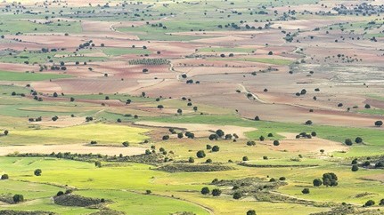 Monte de Farlete desde Monte Oscuro