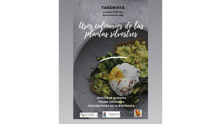 cartel_plantas_silvestres_tardienta