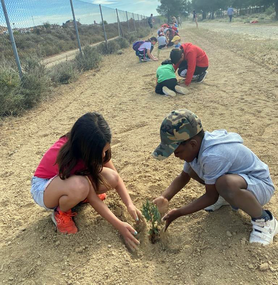 Los alumnos se agruparon en parejas para plantar el medio centenar de ejemplares.