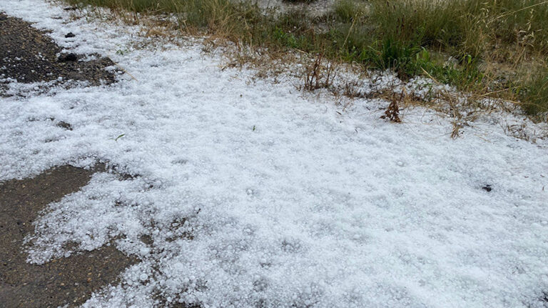 granizo_frula_2023