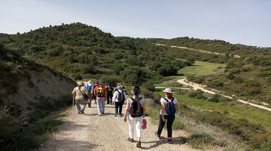 Las jornadas volverán a incluir una visita guiada al frente de Aragón.