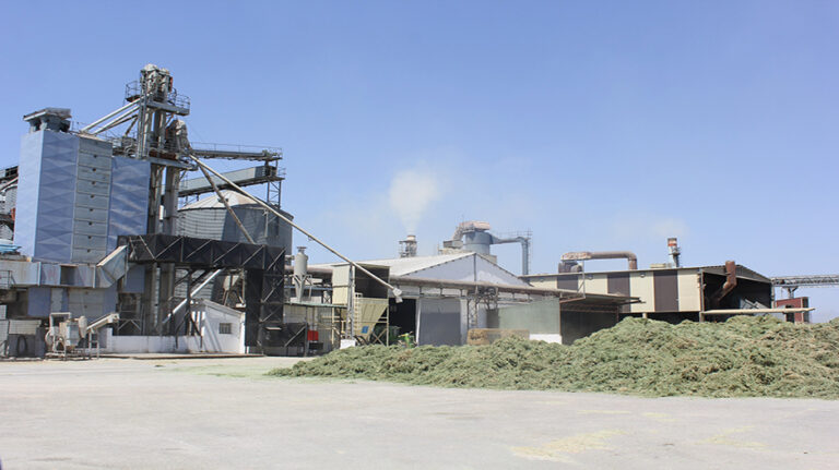instalaciones_funcionamiento_secadero_granen