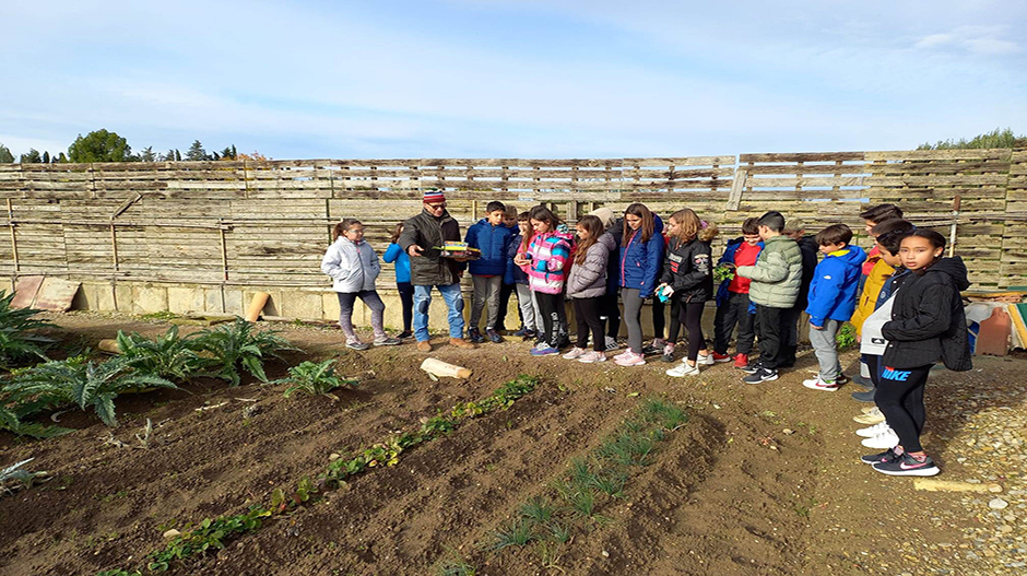 Los escolares visitaron las zonas de huerta en el marco de las jornadas rurales organizadas.