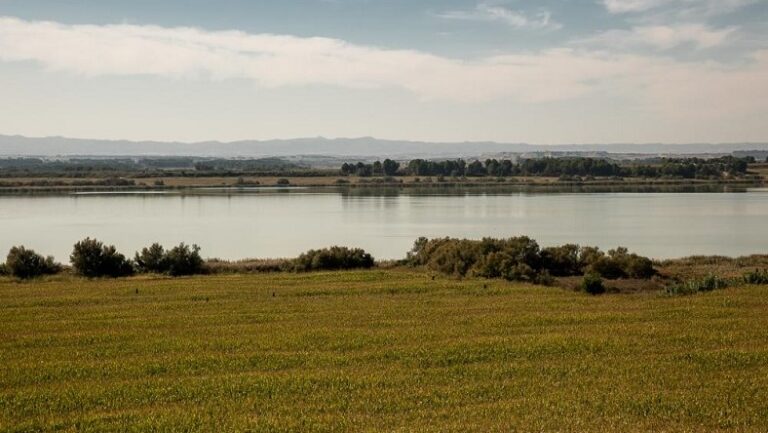 laguna sariñena