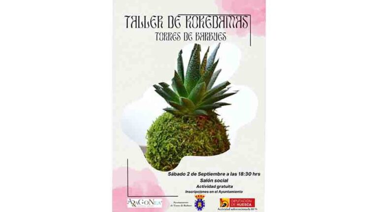 taller_kokedamas_torres