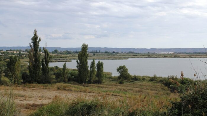 Actividades_ambientales_laguna_otoño_2023